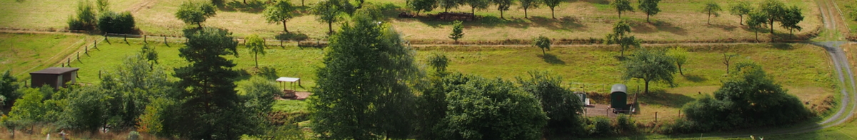 Gelaende